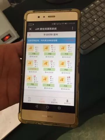 今年武鸣种植沃柑多少亩,武鸣沃柑60亩900万