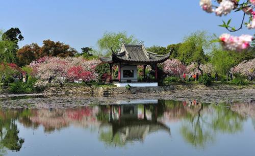 君来酒店管理集团有限公司,无锡君来酒店集团董事长