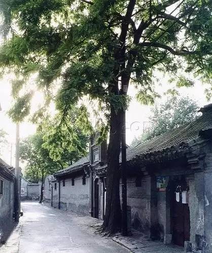 北京积水潭好在哪里,北京积水潭为什么叫积水潭