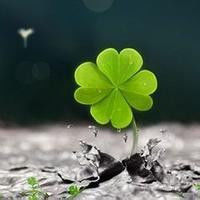 211旅游管理专业,211旅游管理专业毕业生现状