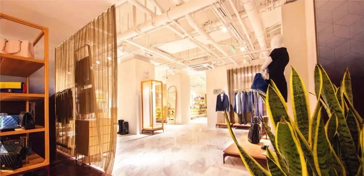 九年磨一剑,慢样本寺库出线了