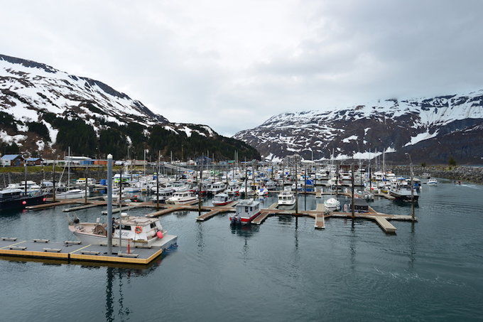 阿拉斯加游记仰望北极光,阿拉斯加走在路上