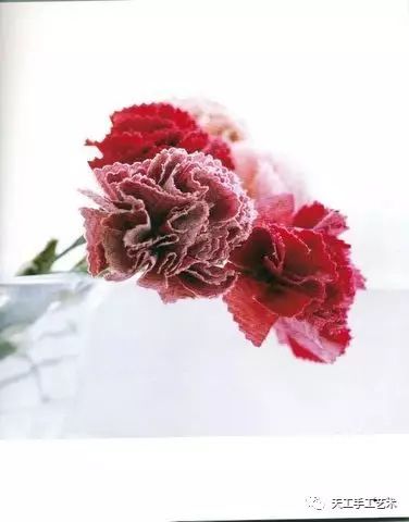 手工书制作花束,花朵手工书