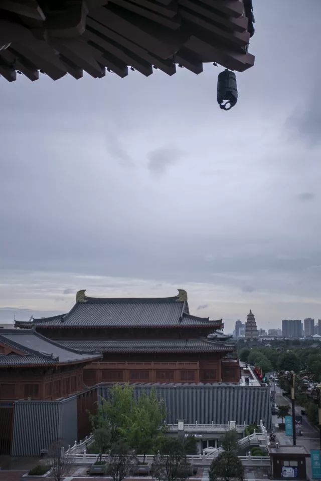 西部最大！小布带你探秘陕西大剧院（一大波官方美图来袭！）