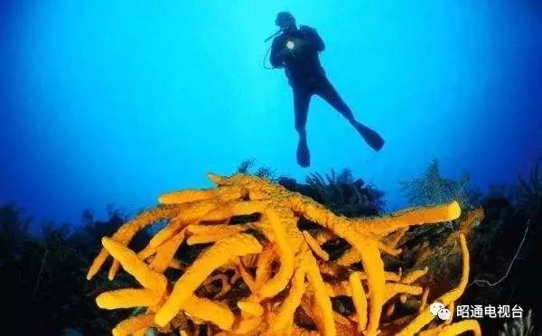 游古巴纪录片,古巴旅游纪录片