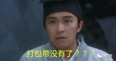 魏延安谈农村生活,魏延安