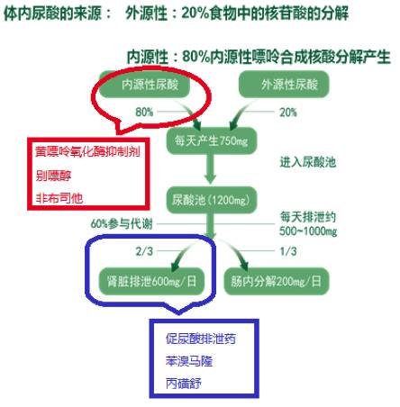 打败痛风的最终法宝——降尿酸药物知多少