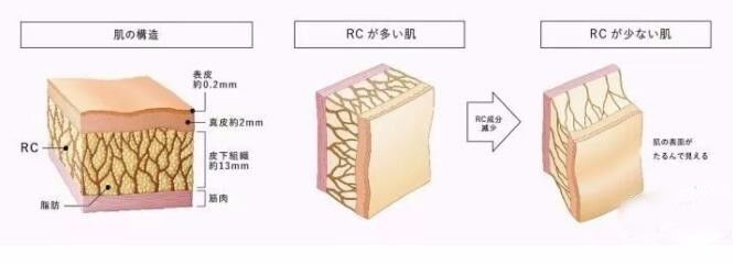 pola居然做了一个能够彻底美颜的艺术品，不信你不动心
