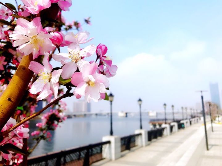 喜迎十九大永远跟党走横幅书法,喜迎十九大童心永向党书画作品