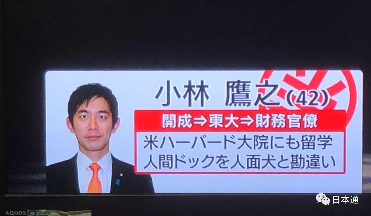 日本参院选举候选人,日本历次众院选举结果