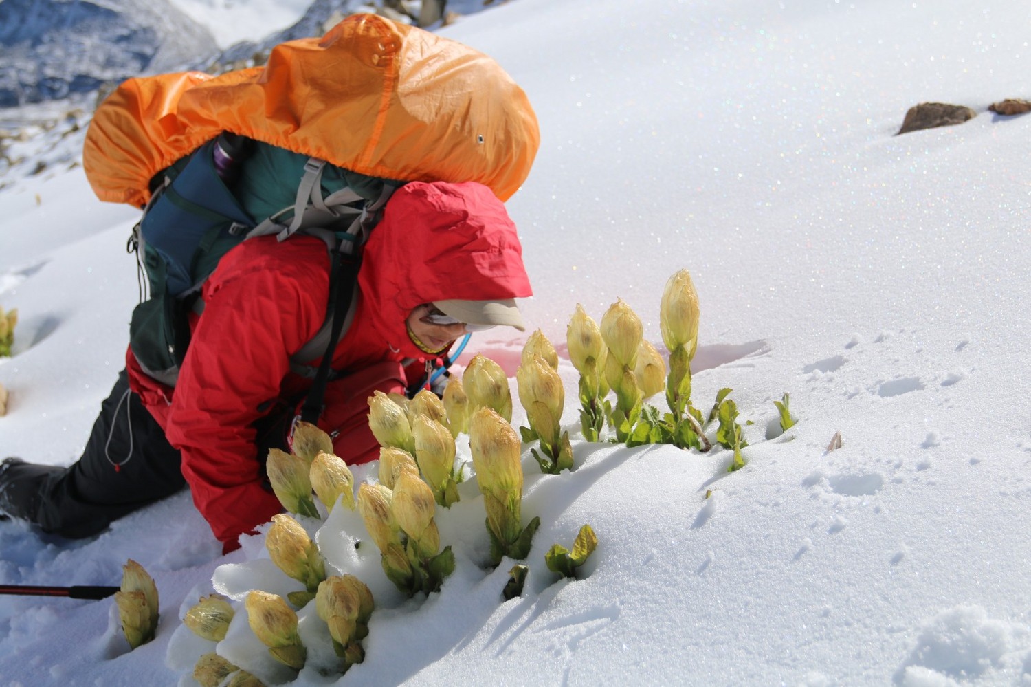艾润活力氧使用寿命,艾润活力氧的危害