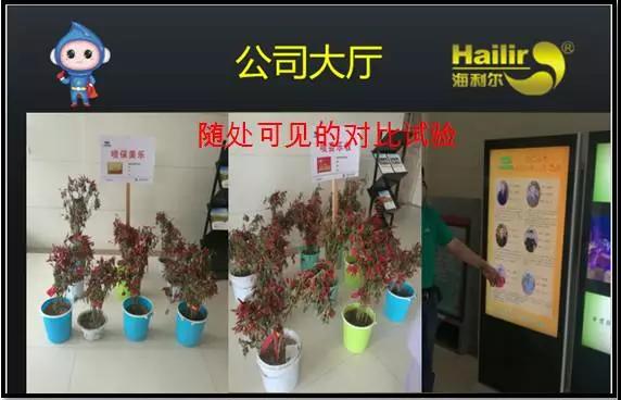 海利尔公司简介,海利尔的发展趋势