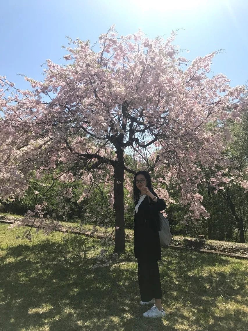 「留学」法政大学的中国留学生访谈