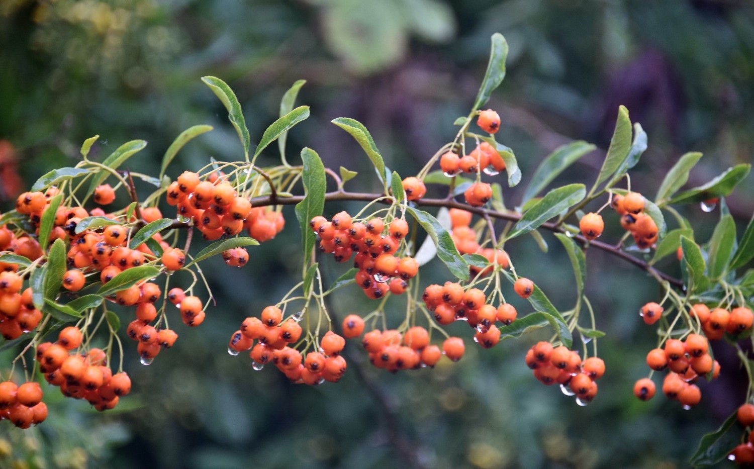 英国著名的城堡有哪些,英国城堡多少年了