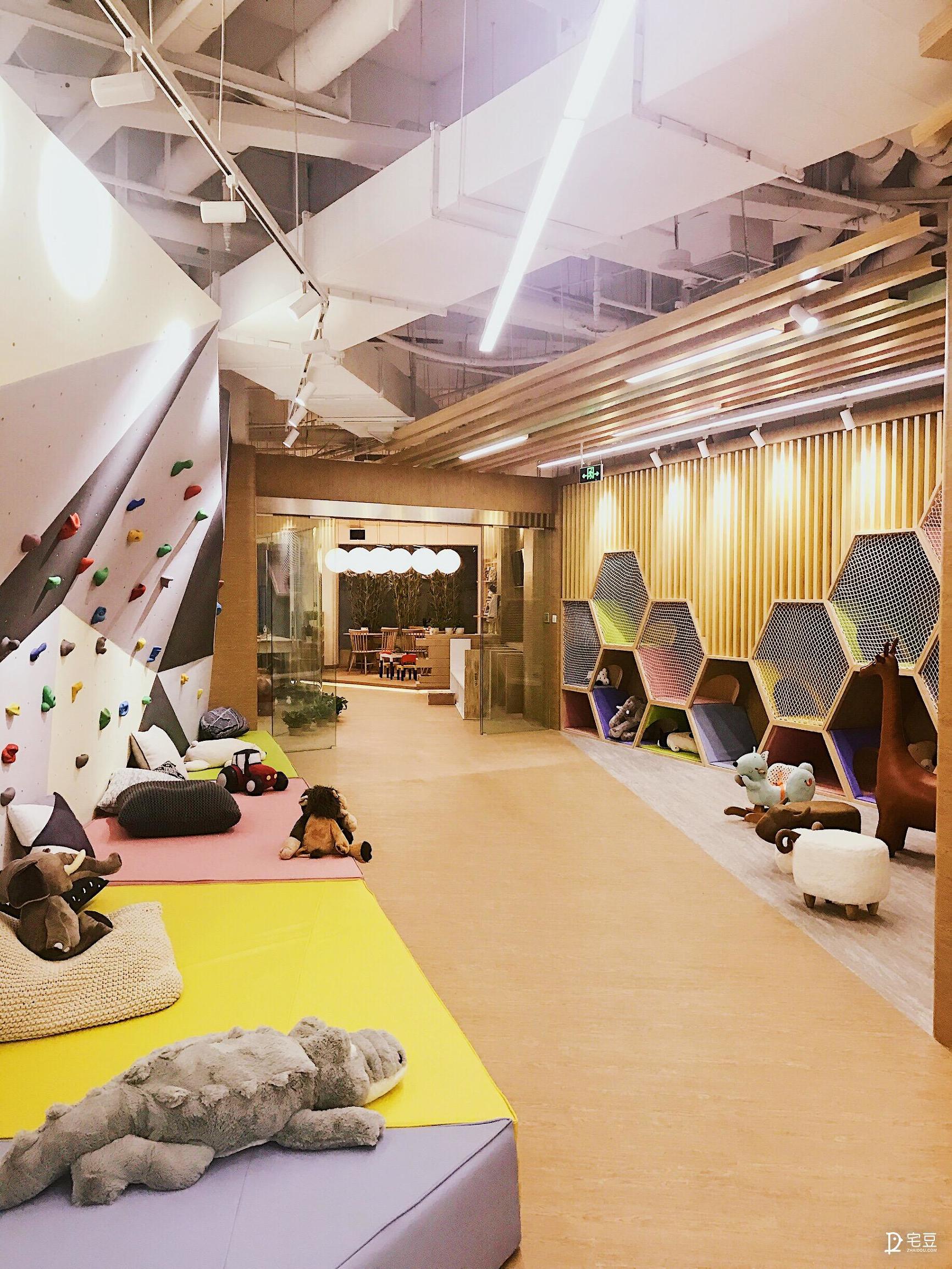 原始森林？动物园？银河系？托儿中心大改造