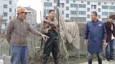 杭州萧山55岁大叔8万元泥鳅苗预计有66万收入！