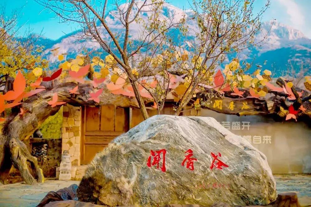 金普新区旅游和文化,金普新区生态湿地公园建在哪里