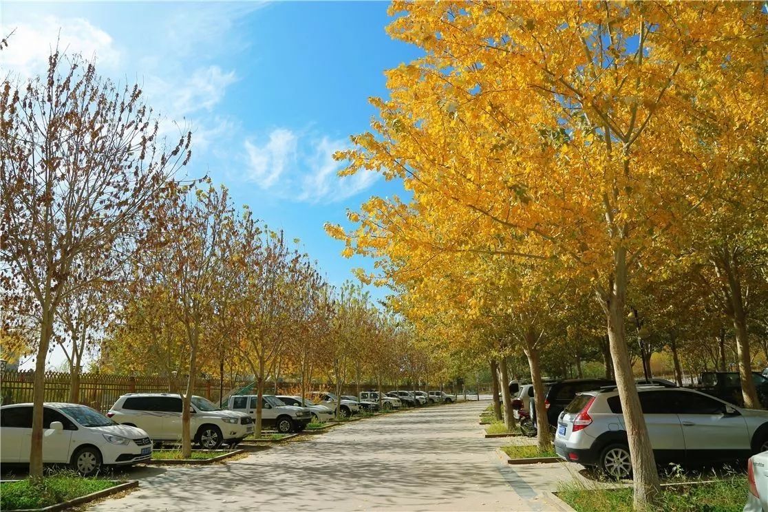 秋日里，有一抹乡愁叫且末！