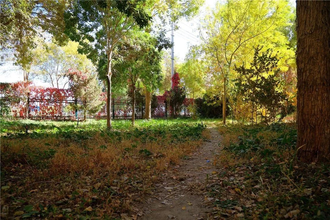 秋日里，有一抹乡愁叫且末！