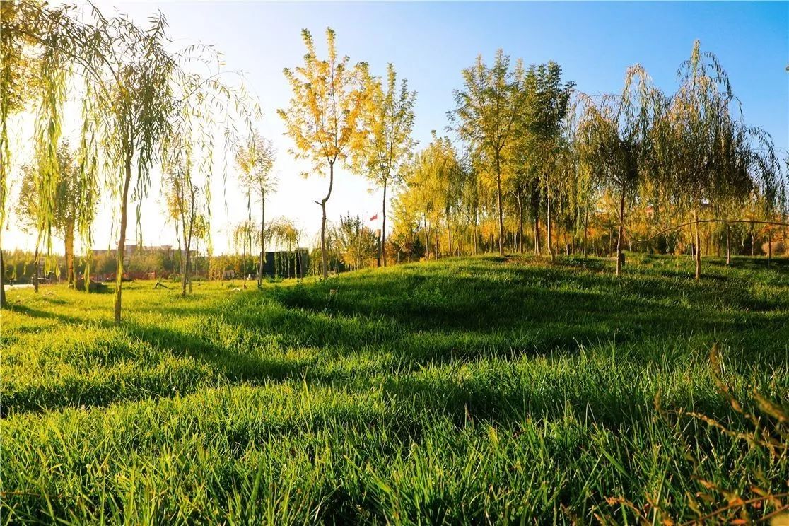 秋日里，有一抹乡愁叫且末！