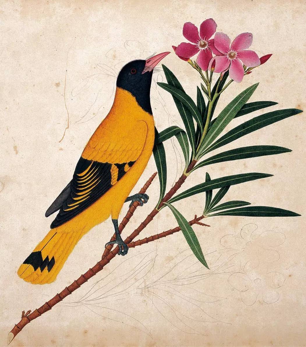 书籍人类的营养品莎士比亚,莎士比亚曾说书籍是人类的营养品