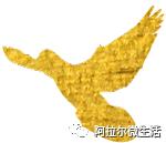 阿拉尔之歌原唱完整版,阿拉尔作品