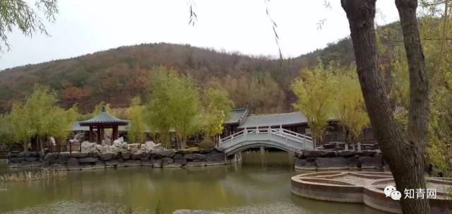 中国敬词大全完整版,敬词大全100个