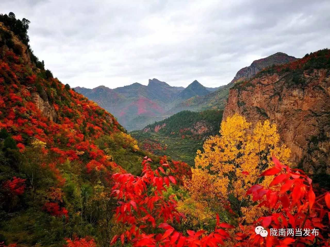 回顾2023年太极拳公开赛,第二届太极拳邀请赛