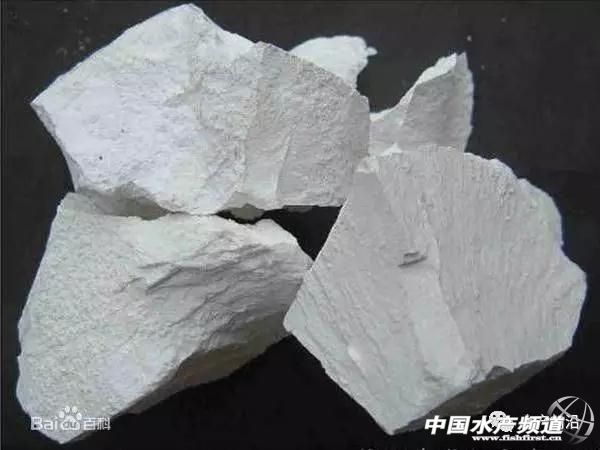 这几个“屌丝”渔药你知多少?生石灰、食盐、二氧化氯,一个比一个好用!