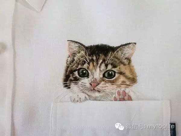 潮流趋势：日本艺术家将猫放在口袋里带出门