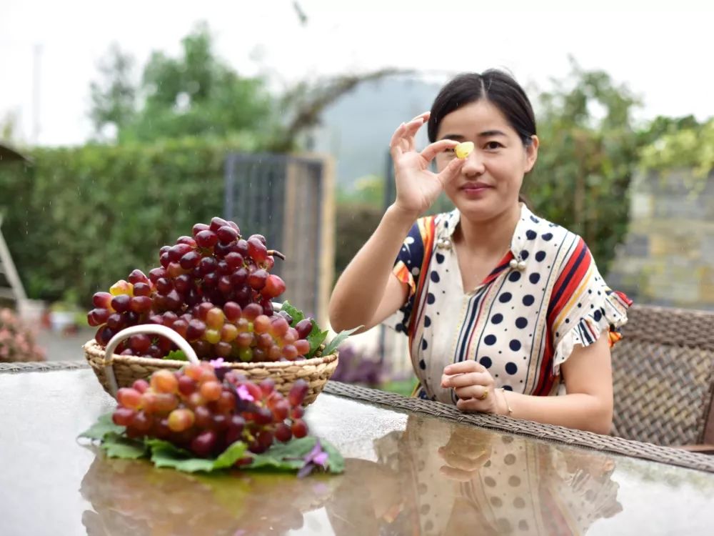 十月采摘水果,红提采摘节