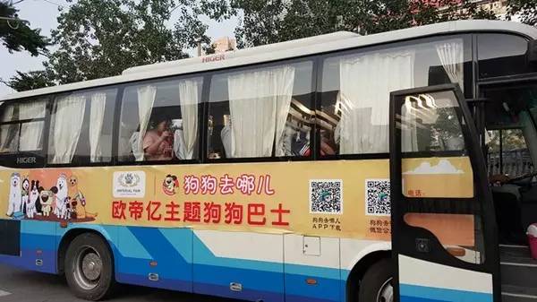 活动回顾｜欧帝亿主题狗狗巴士察哈尔草原深处探秘万年火山