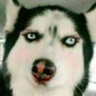 众人评价qghappy,巅峰qghappy遇到的问题