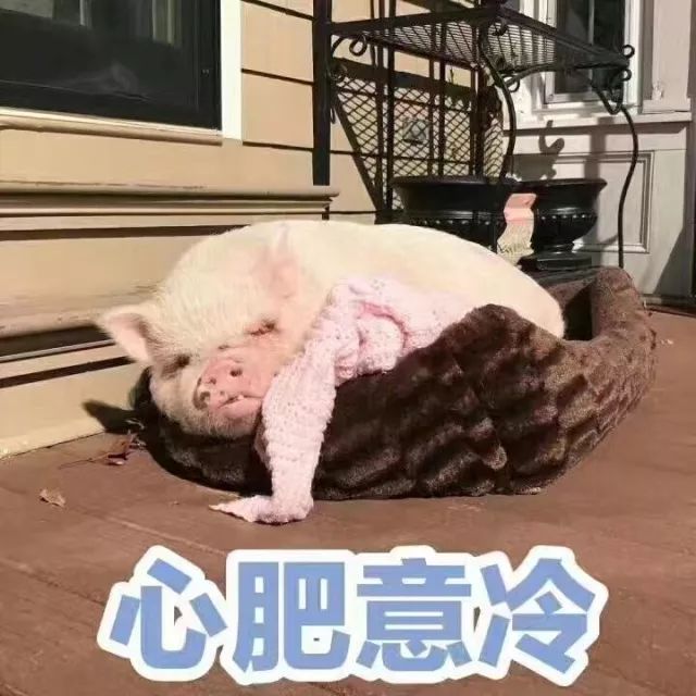 秋冬袜靴,秋冬季百搭袜靴