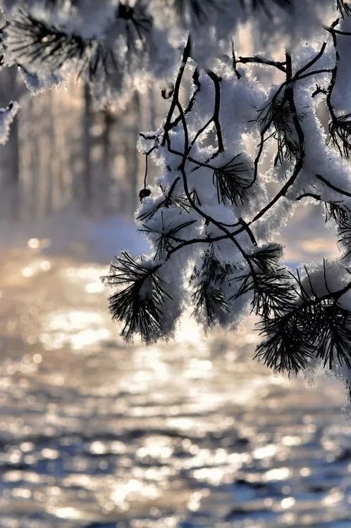 今日立冬品读最美的十首节气诗词,节气物语今日立冬