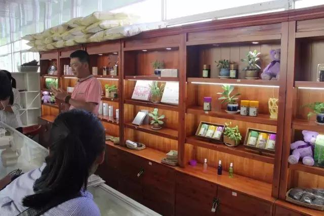 云南花海之行,云南花海基地旅游攻略