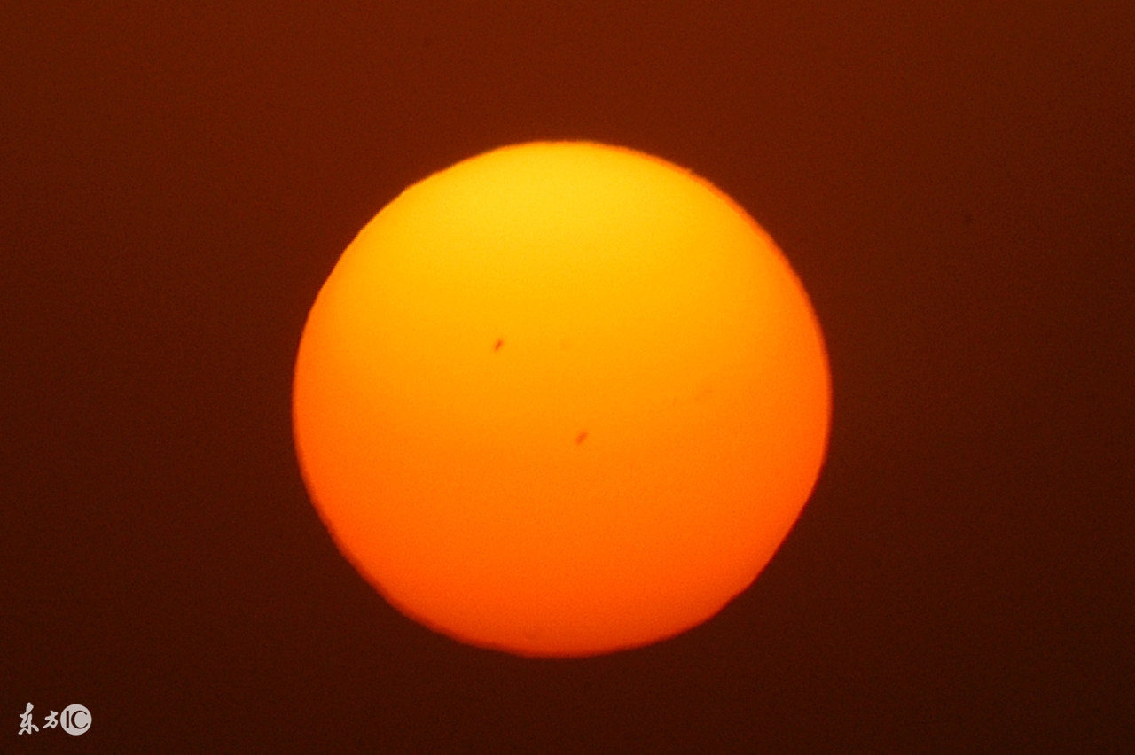 阳虚伴痰湿体质吃什么中成药,阳虚痰湿体质吃什么中成药好