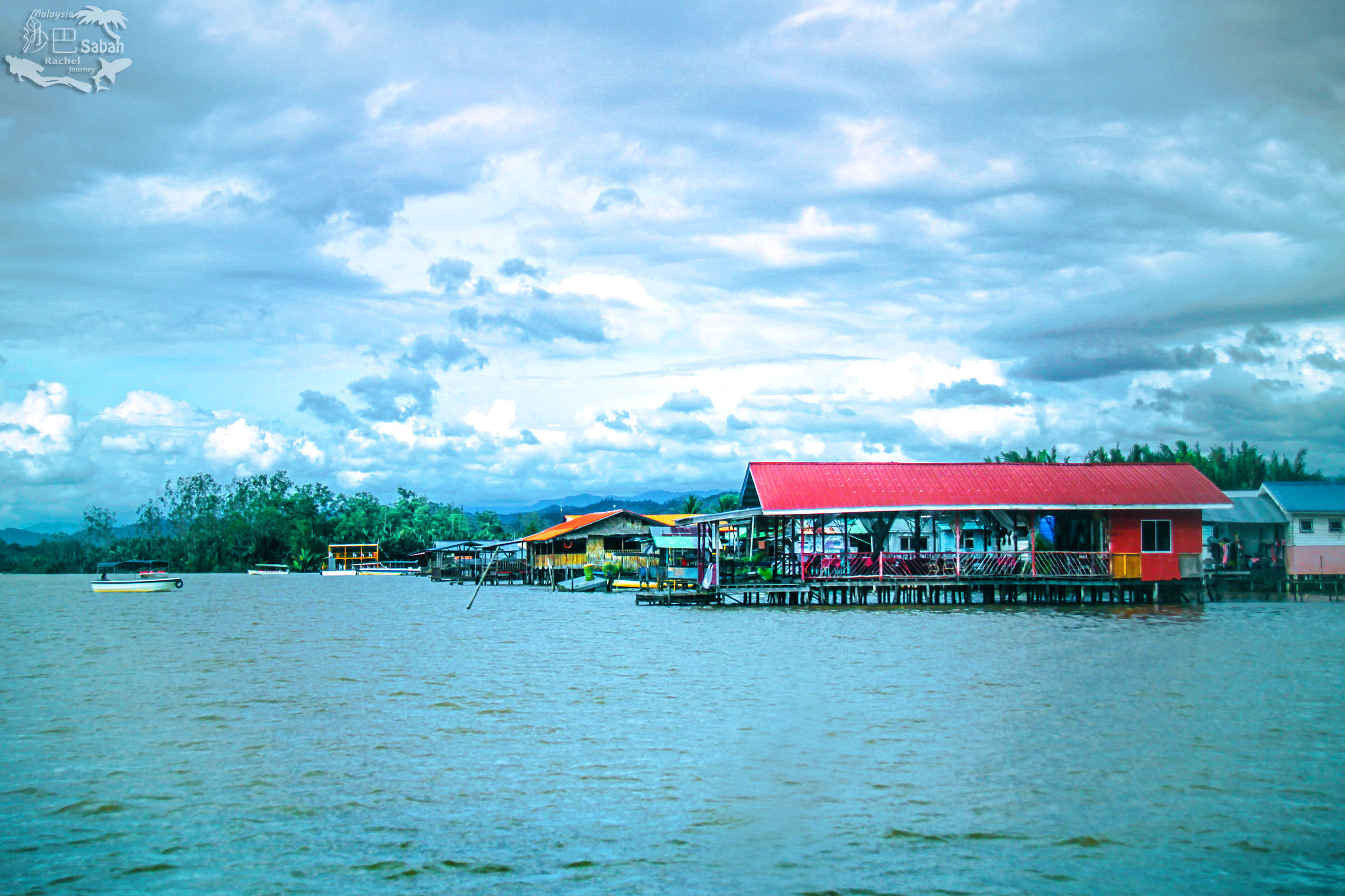 热带雨林是毒还是美威士顿红树林里有怎样的奥秘