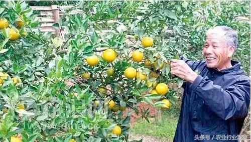 刘强东说农村电商,马云刘强东时期的企业家