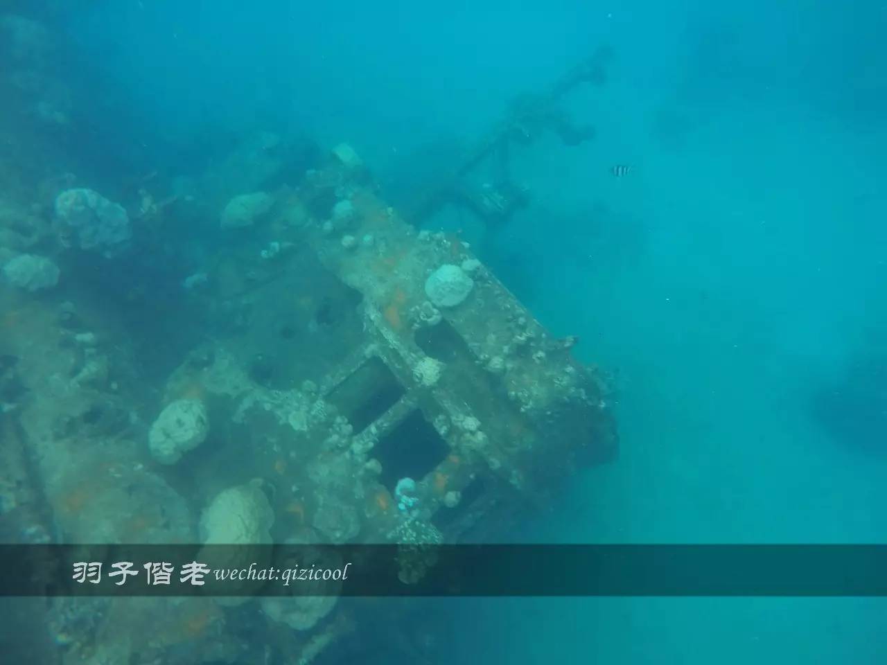 帕劳旅游发展的前景,去帕劳注意事项和必备品