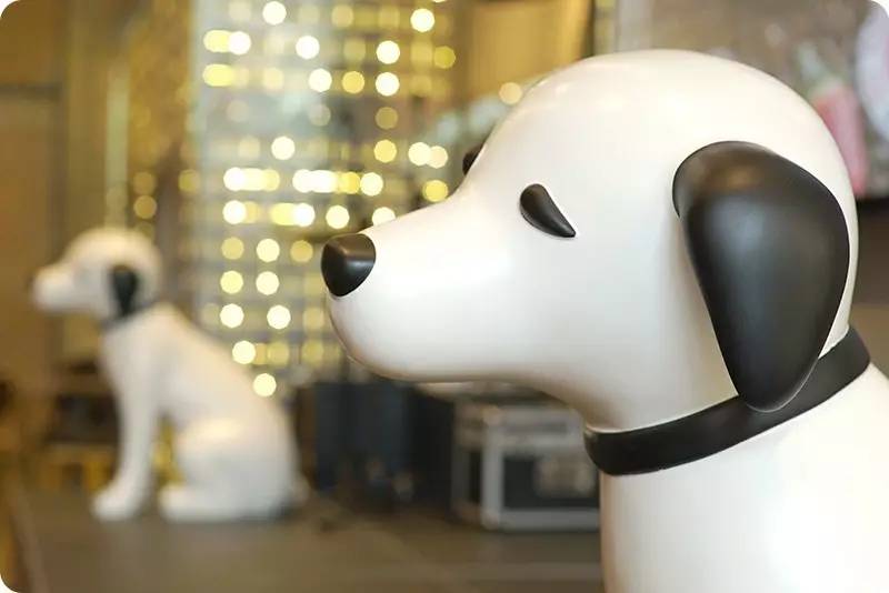 朝圣必去！乐迷们的“音乐圣殿”hmv在北京开了一家咖啡店