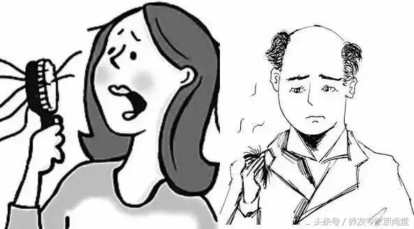 前额脱发还能恢复吗,脱发两年还能恢复吗