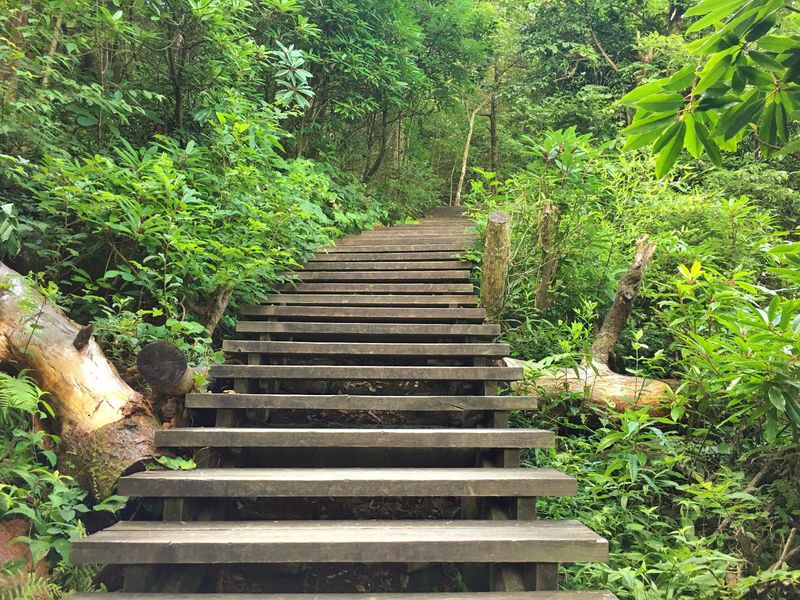 一场说走就走暑假旅行,一场说走就走的旅行来了