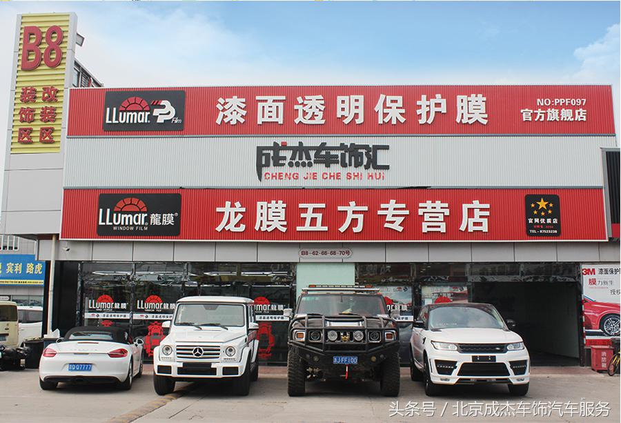 关于龙的知识简短,关于龙的科普小知识