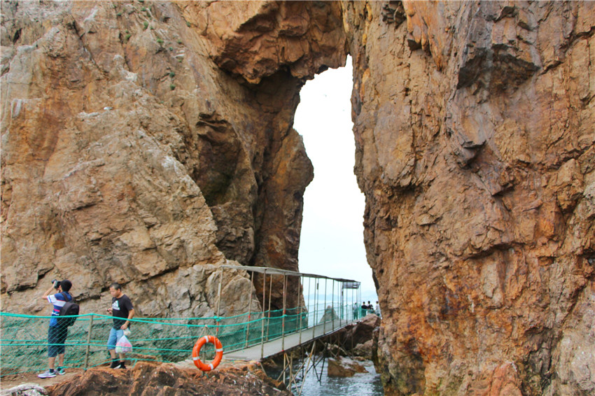 探海外仙境海驴岛,寻找海鸥王国的故事