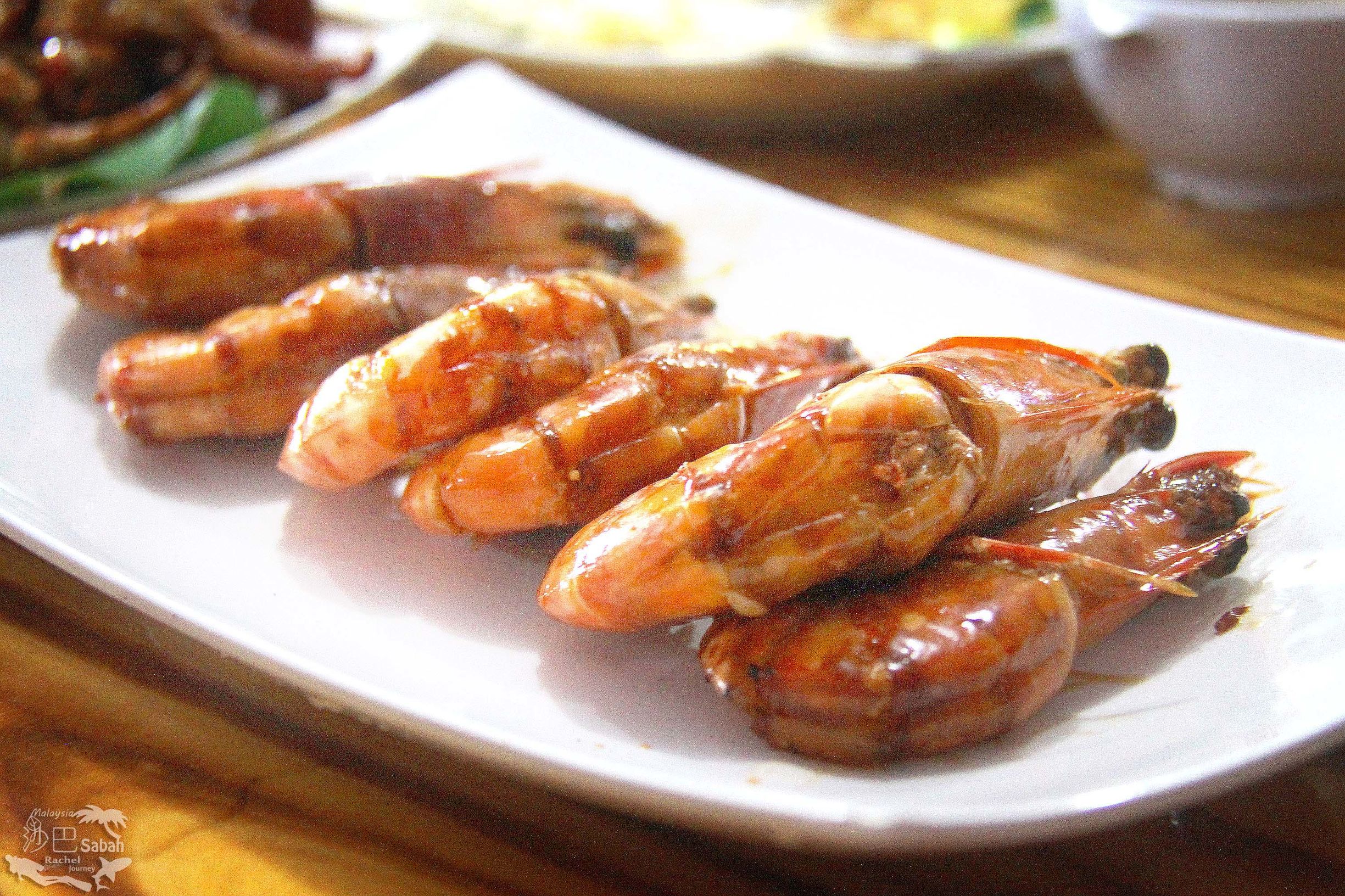 热带雨林是毒还是美威士顿红树林里有怎样的奥秘