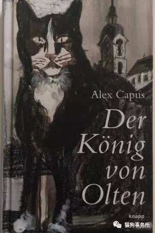 别了,图卢茨!瑞士第一猫