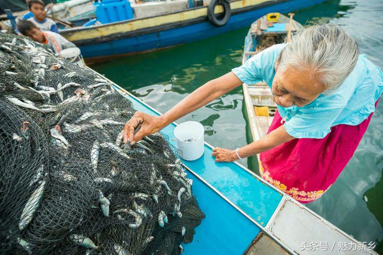 仙本那跳岛简介,仙本那跳岛图