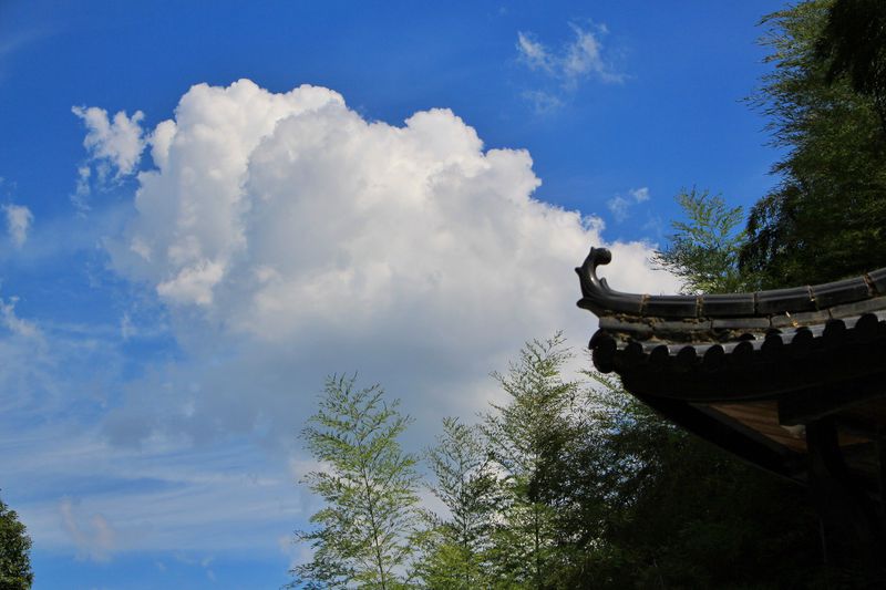 一场说走就走的夏日旅游,一场说走就走的山水旅游