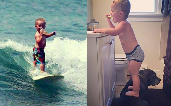 8-12月育儿知识分享,2017育儿知识分享会